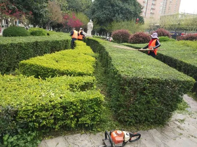 宜城園林綠化管理所招聘