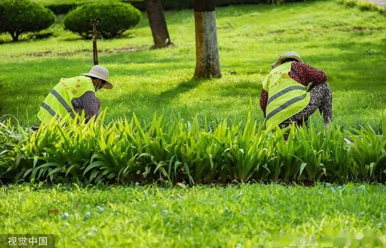 四川藝景園林綠化工程