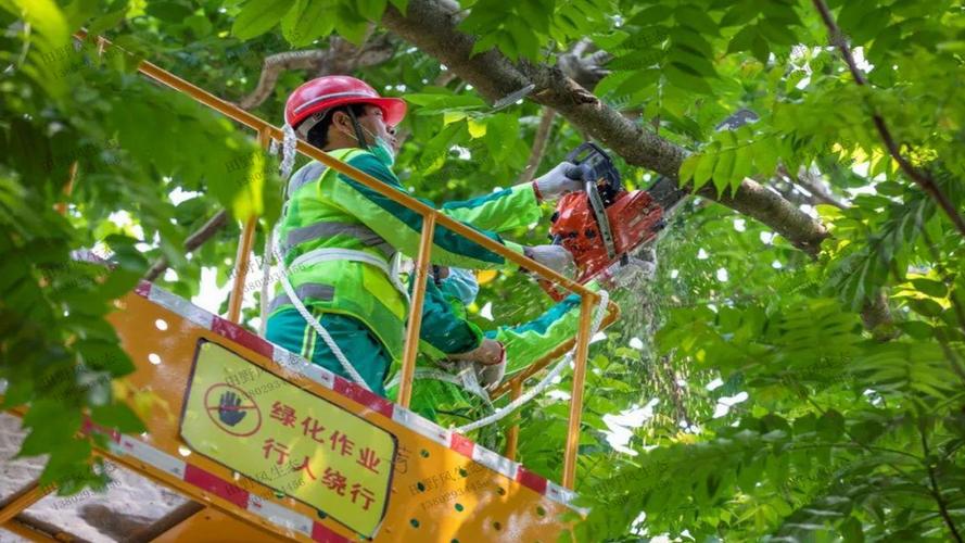 明光園林綠化管理所鄭鵬